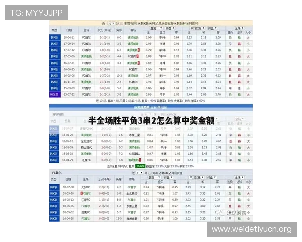 如何利用足彩网竞彩官网计算器优化投注方案实现投注精准化和收益最大化